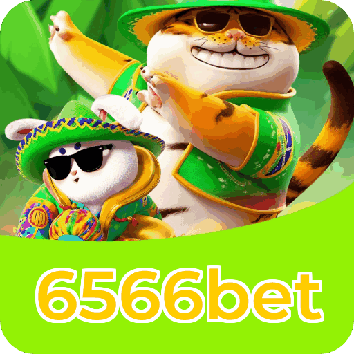 Suporte 6566bet